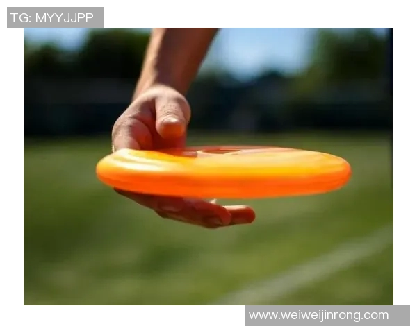 飞盘战术解析：上海飞盘队边路渗透体系的创新与实践探讨